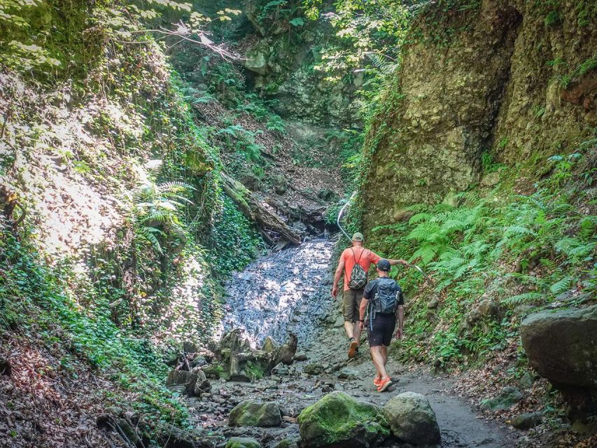 Ram Gorge Hiking Adventure - Your 8 km hike: volcanic rocks, stream crossings, and shade
