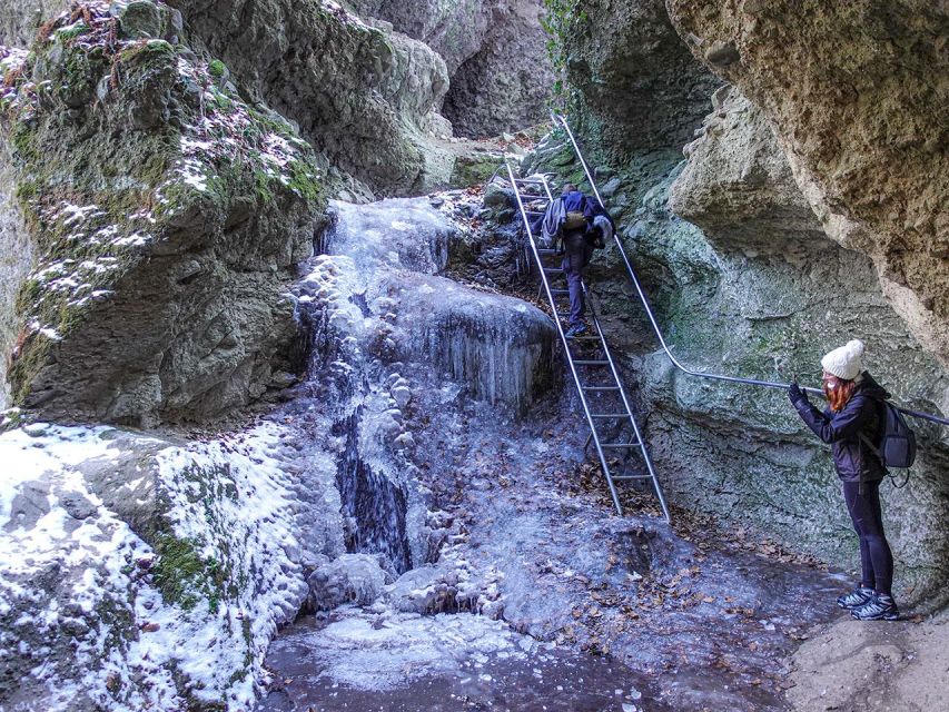 Ram Gorge Hiking Adventure - Wildlife and bird moments: what to keep an eye out for