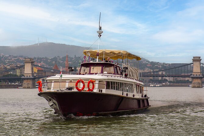 Sightseeing Cruise on the Danube with Audio Guide in Budapest - Audio guide setup: download the app, bring earphones