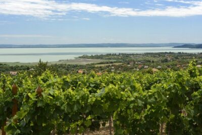 The Turquoise Sea of Hungary: Lake Balaton Private Tour