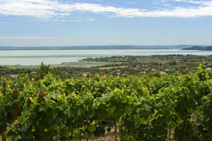 The Turquoise Sea of Hungary: Lake Balaton Private Tour - Tihany Peninsula: A Protected Place With Real Character