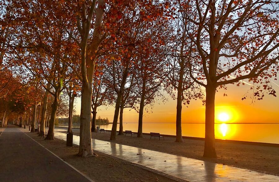The Turquoise Sea of Hungary: Lake Balaton Private Tour - When the Lake Lets You Breathe: The Ferry Ride Wrap-Up