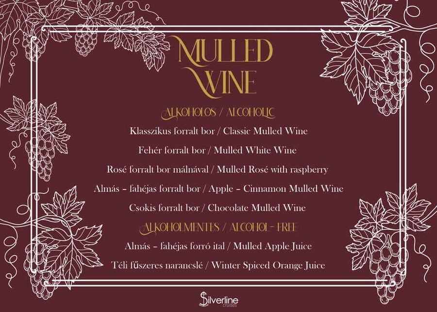 Unlimited Mulled Wine Cruise - Is This a Good Value for $22?