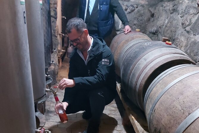 Wine Tasting in the Countryside from Budapest - Key highlights worth planning for