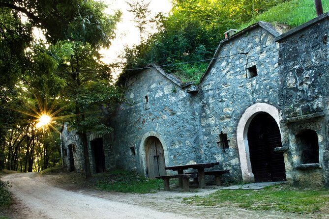 Wine Tasting in the Countryside from Budapest - A 3-hour wine detour from Budapest, with the big-cellar wow factor