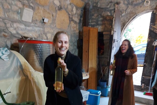 Wine Tasting in the Countryside from Budapest - Who this tour suits best, and who might want a different plan
