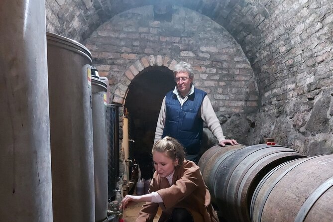Wine Tasting in the Countryside from Budapest - Price and value: how $90 stacks up for what you get